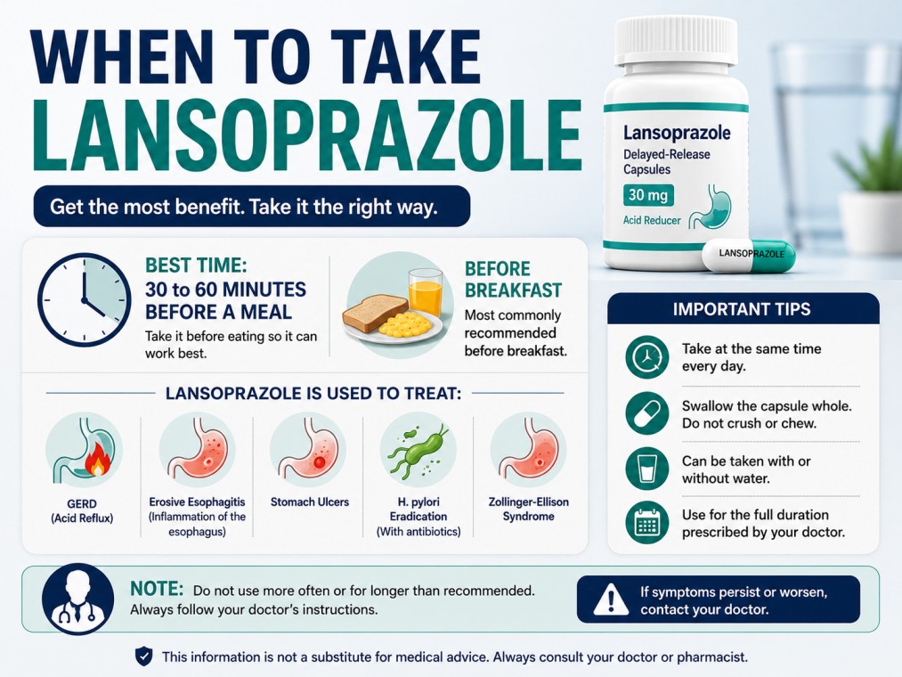 When to take lansoprazole infographic showing lansoprazole 30mg bottle, best time to take lansoprazole before meals, and important usage tips for acid reflux and GERD.